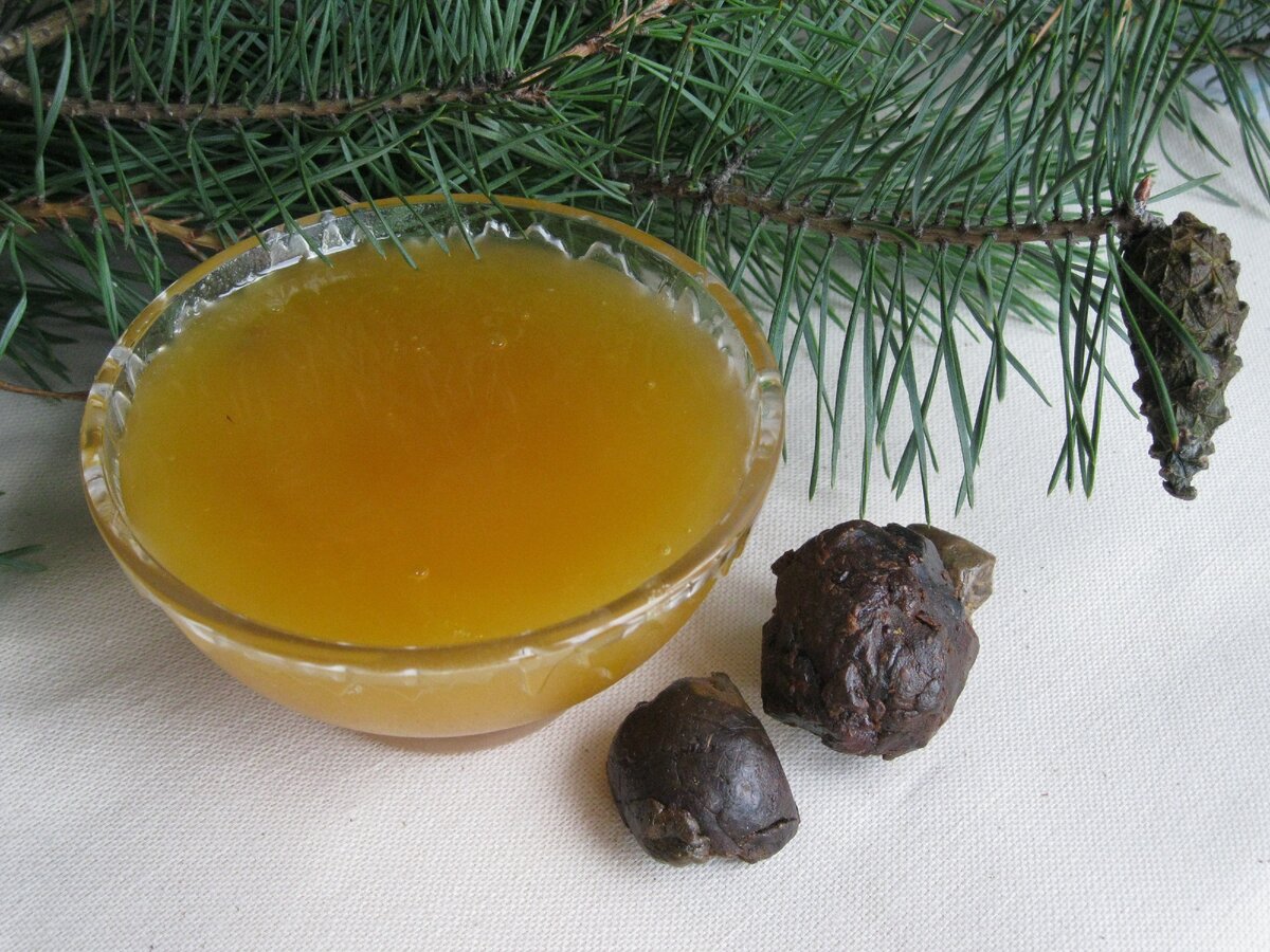 Пчелиный прополис.