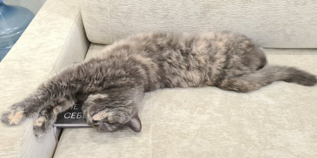 Не можешь уснуть? Причина в твоих эмоциях