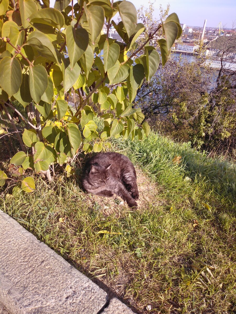 Личное фото