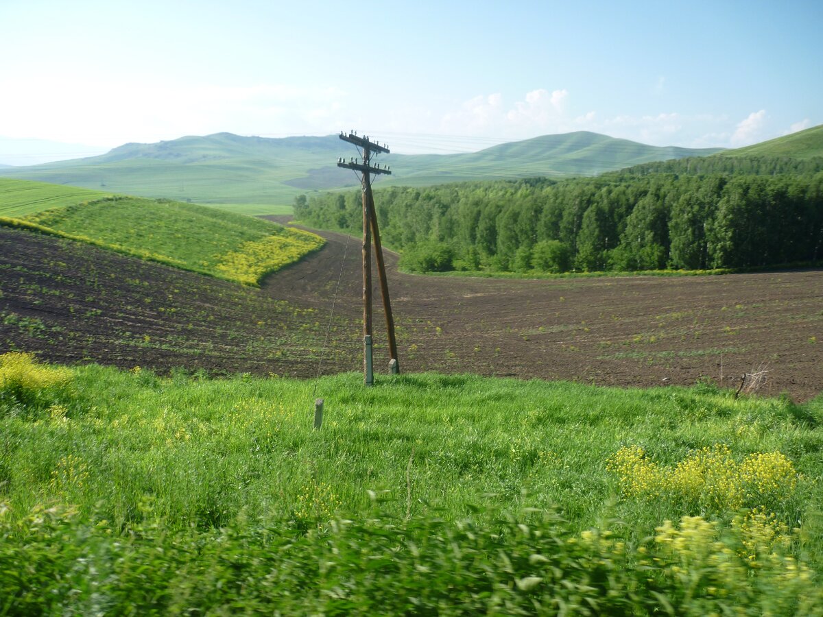 Из личного архива.