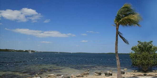 
Флориду делят между собой два географических пояса: тропический (юг от озера Окичоби) и субтропический (север). Здесь тепло, однако из-за бризов температура не становится невыносимой: в среднем летом она достигает 26-28 градусов по Цельсию. Зимой температура варьируется в зависимости от сторон света: она может колебаться от +12 до +20 градусов. Однако не стоит думать, что Флорида – рай для тех, кто любит круглый год понежиться на пляже.
