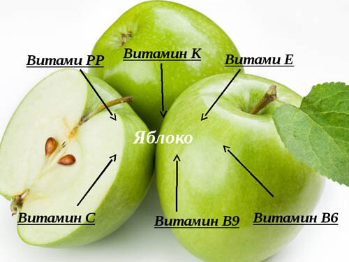 Химический состав яблок — витамины, питательные вещества, микроэлементы, макроэлементы