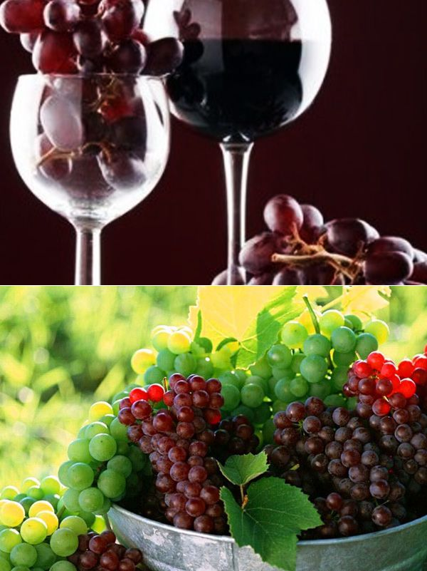 Определение понятия – полусладкое вино, калорийность, технология изготовления