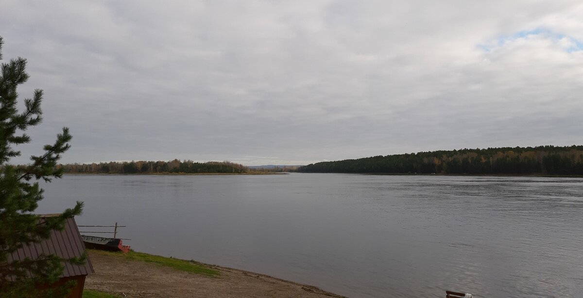 Водные растения подтвердили снижение содержания искусственных радионуклидов в Енисее