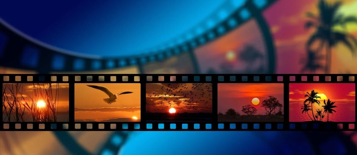Источник картинки - pixabay.com