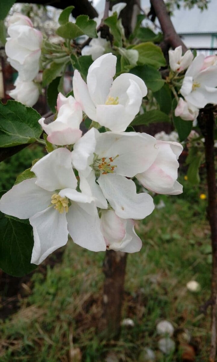 Фото автора.