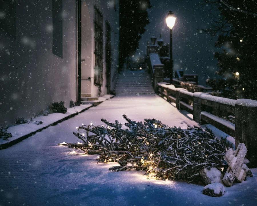Pixabay.com / CC0