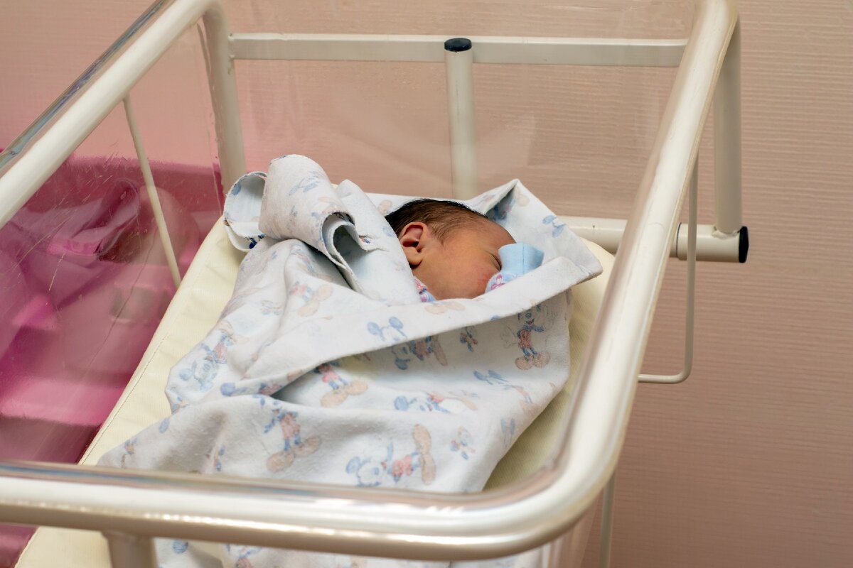 Личное фото автора