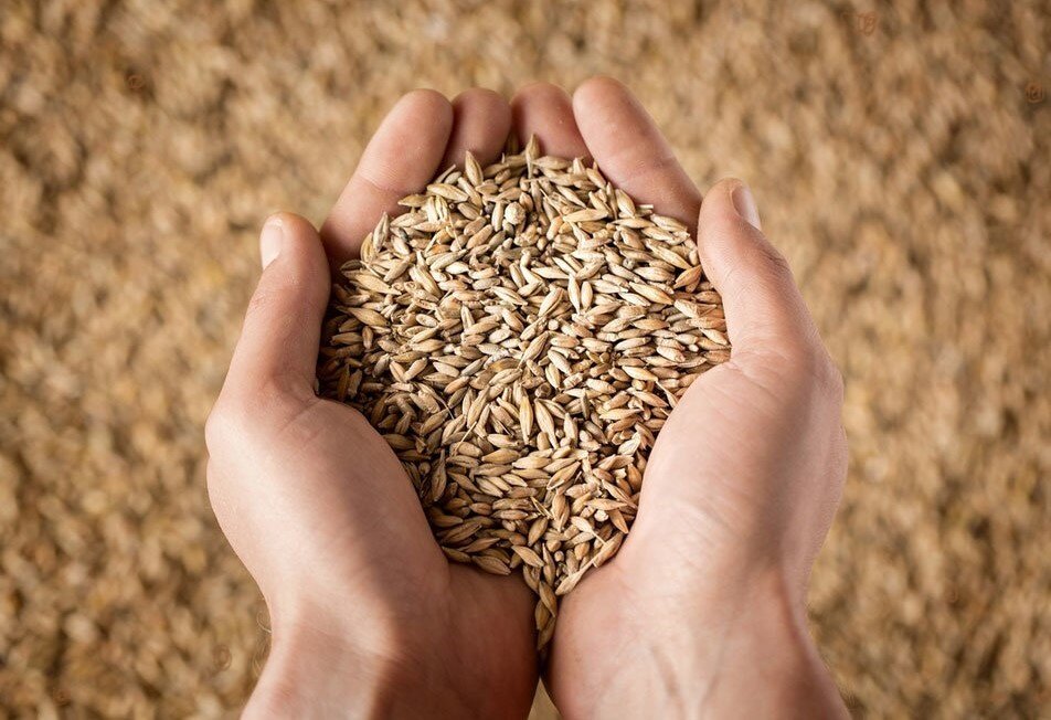 Будущий урожай в теплых человеческих руках