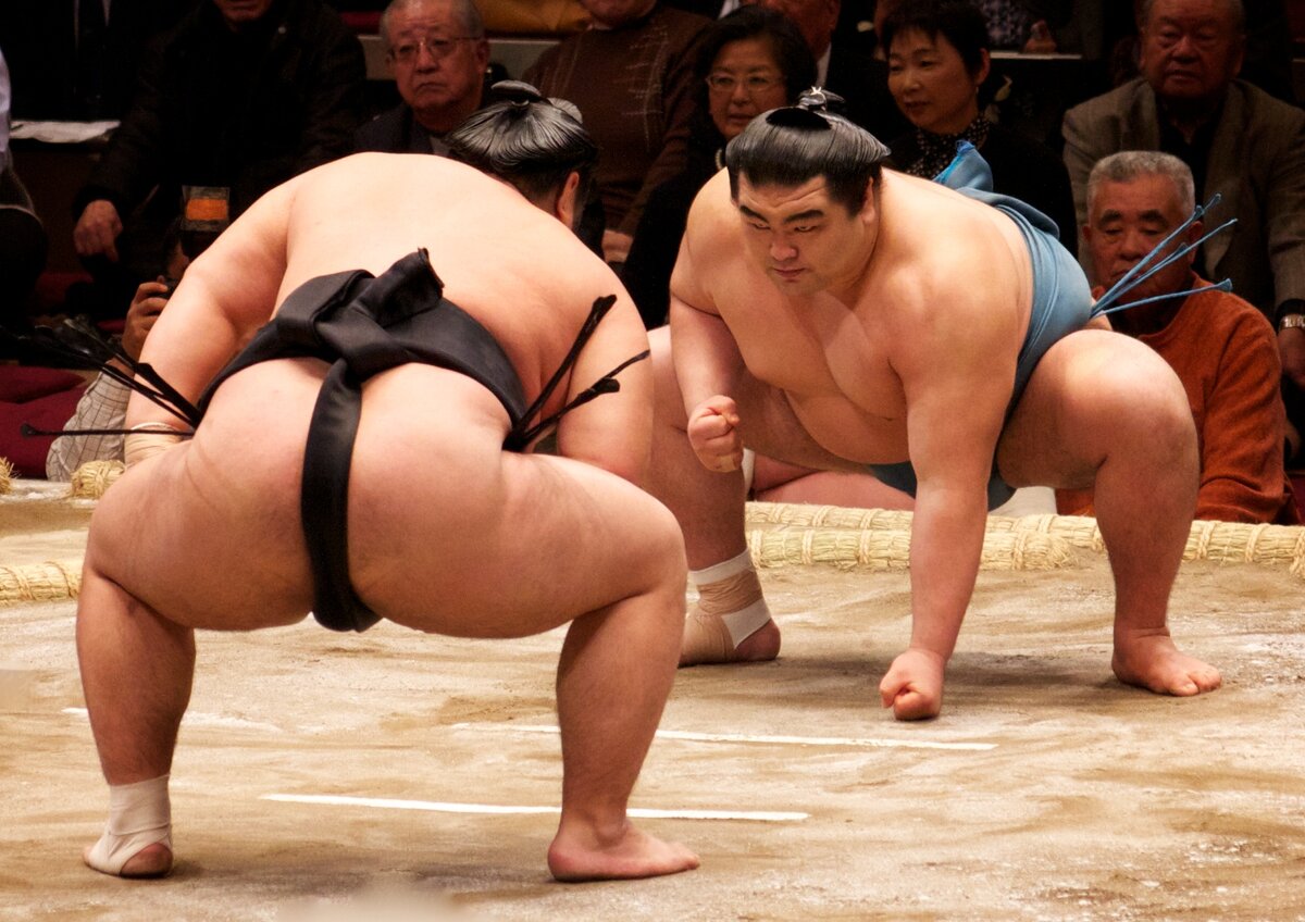 Интересные факты о сумо.