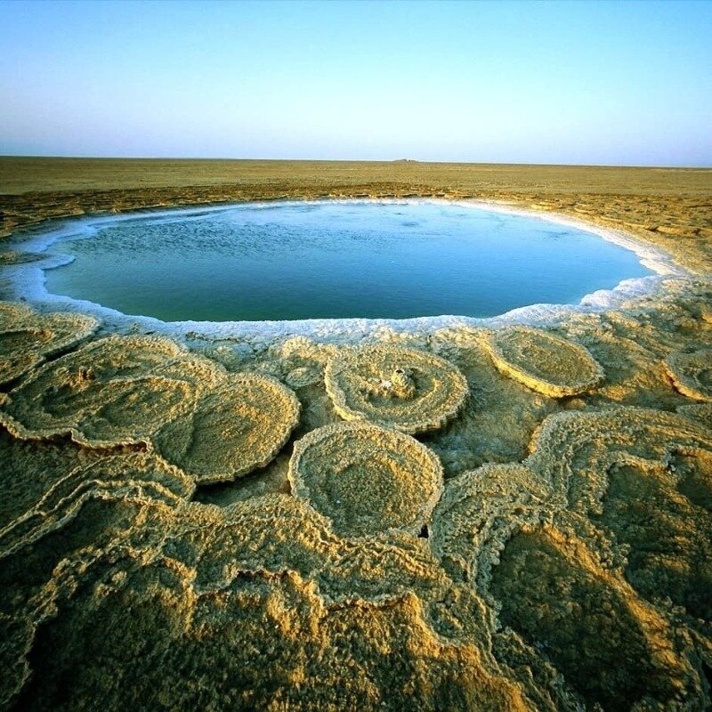 Фото https://www.instagram.com/p/CI3F5kbjcA8/