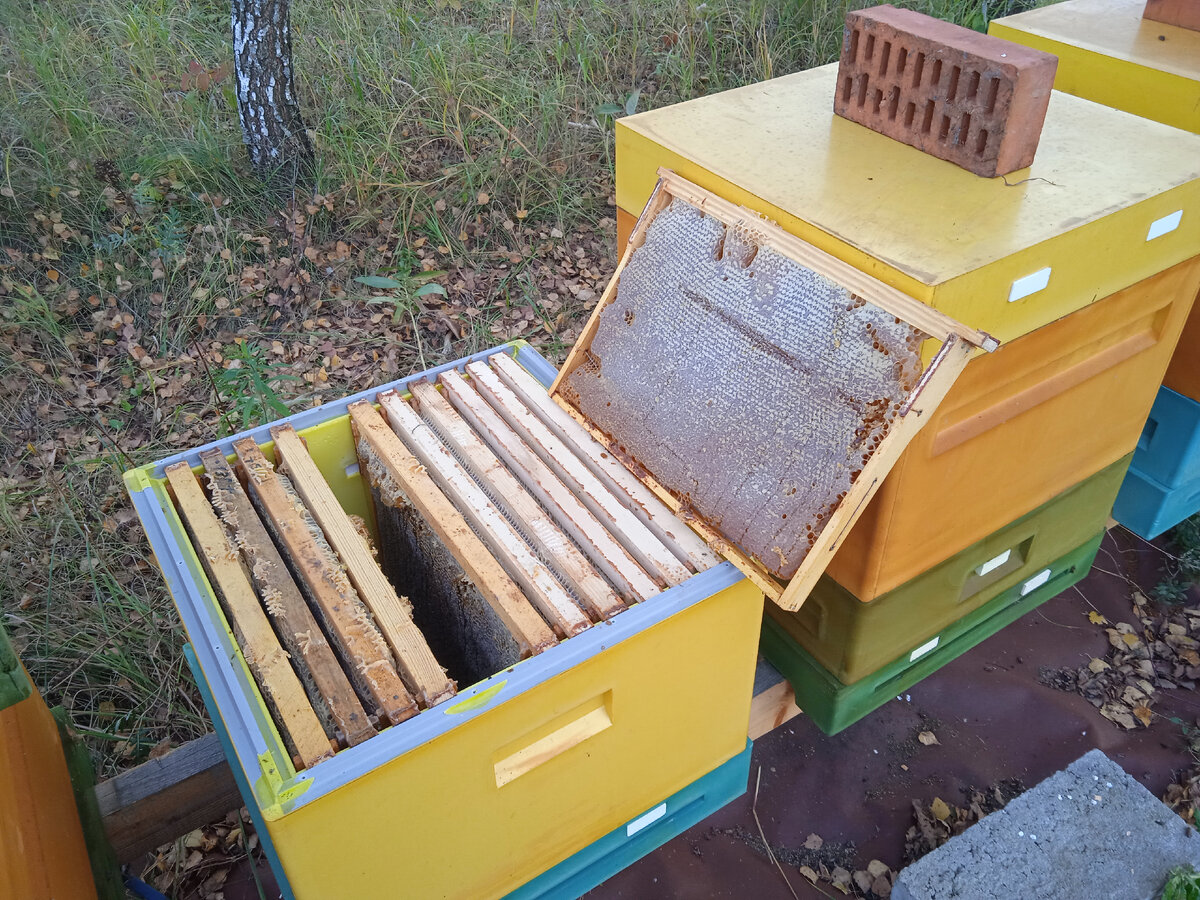 Собираем "урожай"