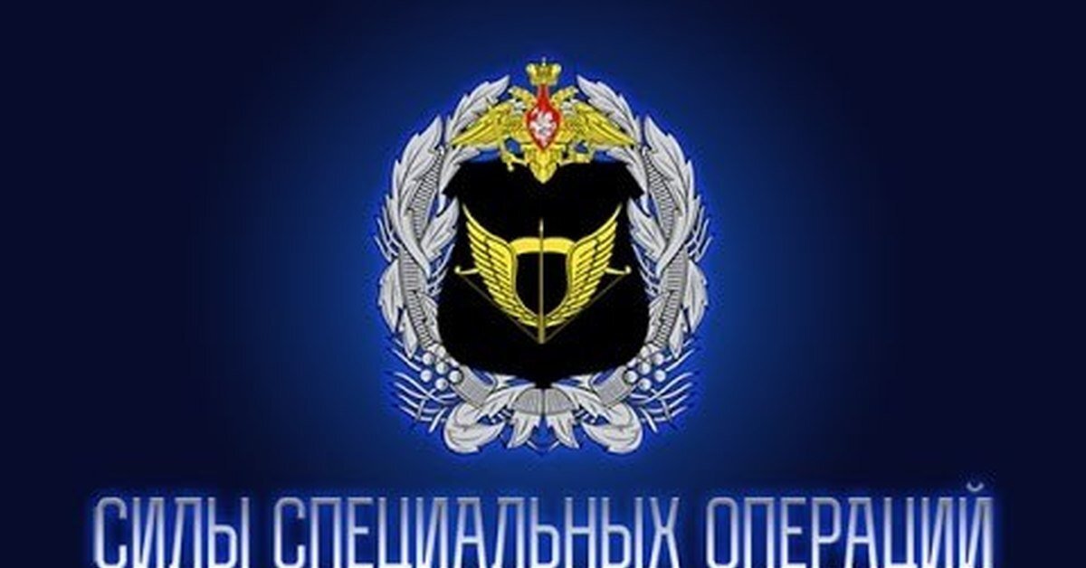 Эмблема ССО
