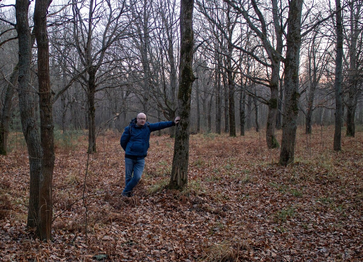 А так это место выглядит в ноябре. Между прочим, даже после первых морозов этот лес остаётся грибным. Фото автора