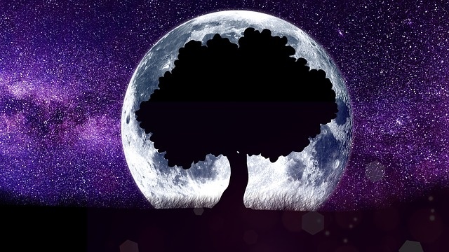 Изображение TweSwe с сайта Pixabay 