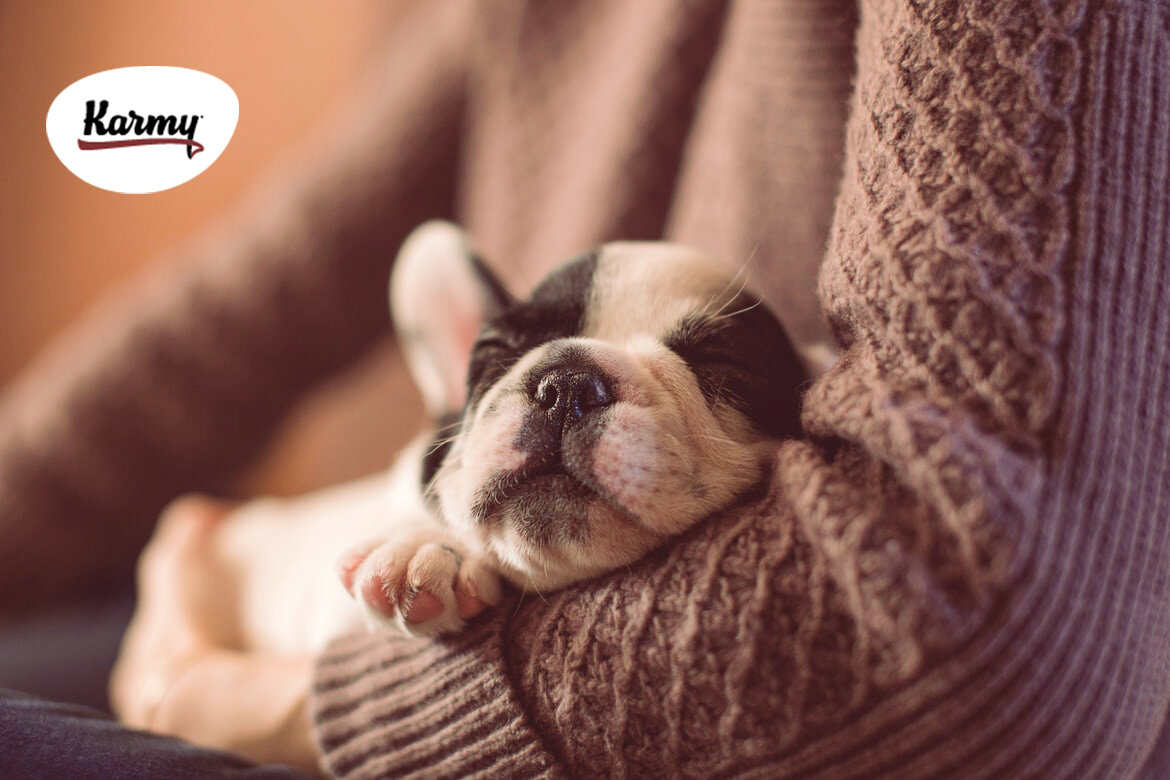 Авторское изображение с использованием картинки с фотостока "Unsplash"