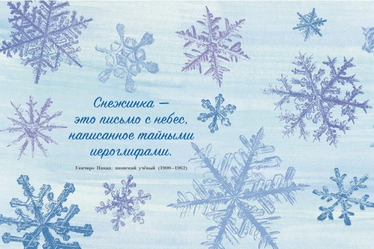  Фото из свободных источников