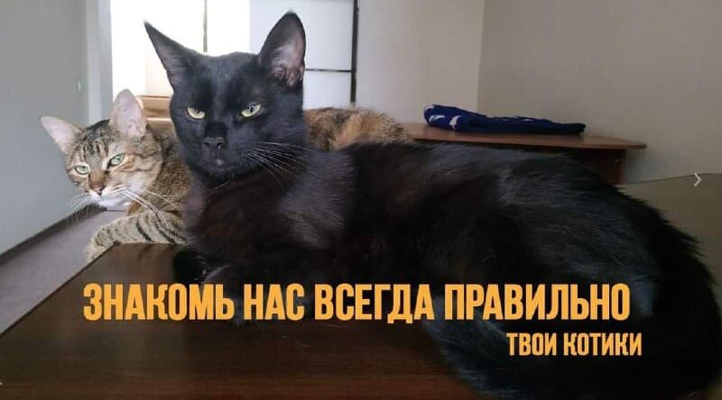 Это Ася и Снипет