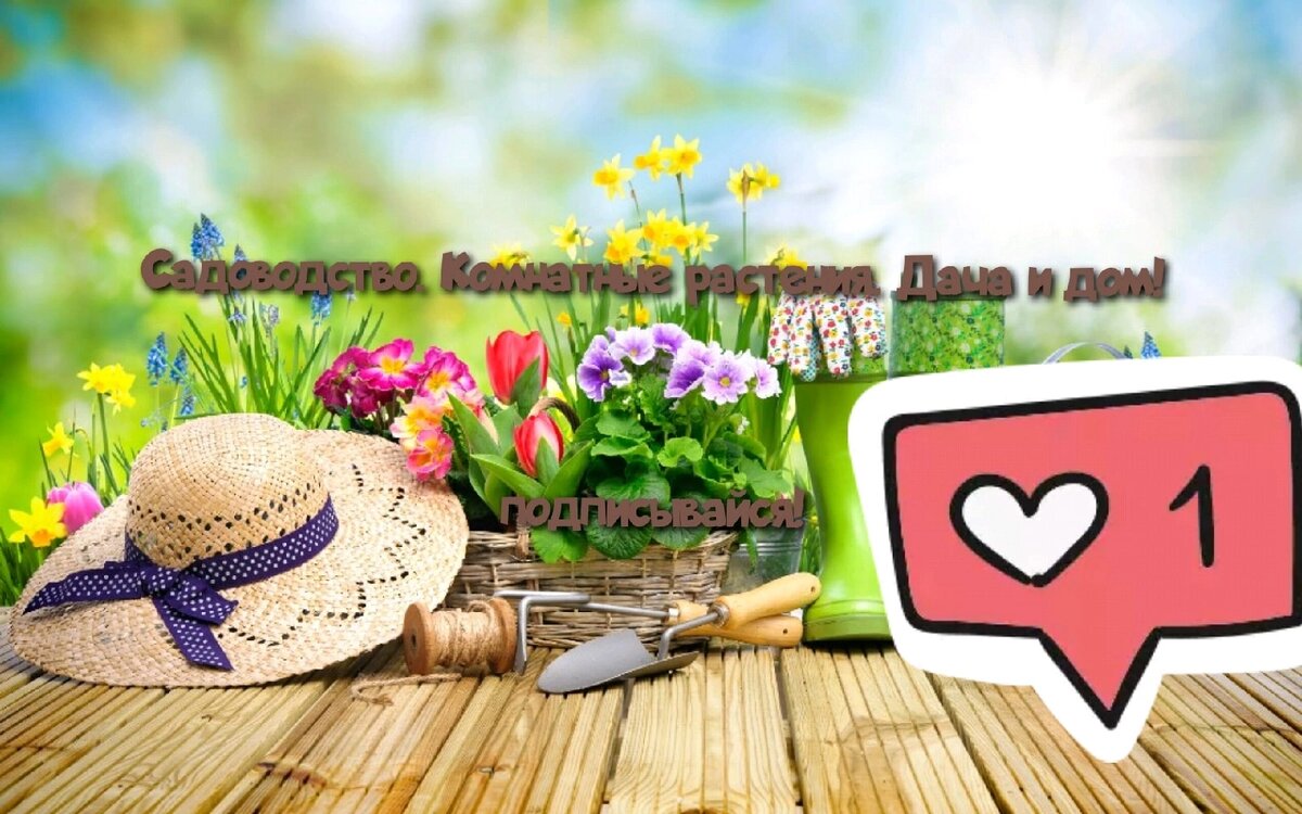 Пожалуйста, подпишитесь на мой канал и группу вк 