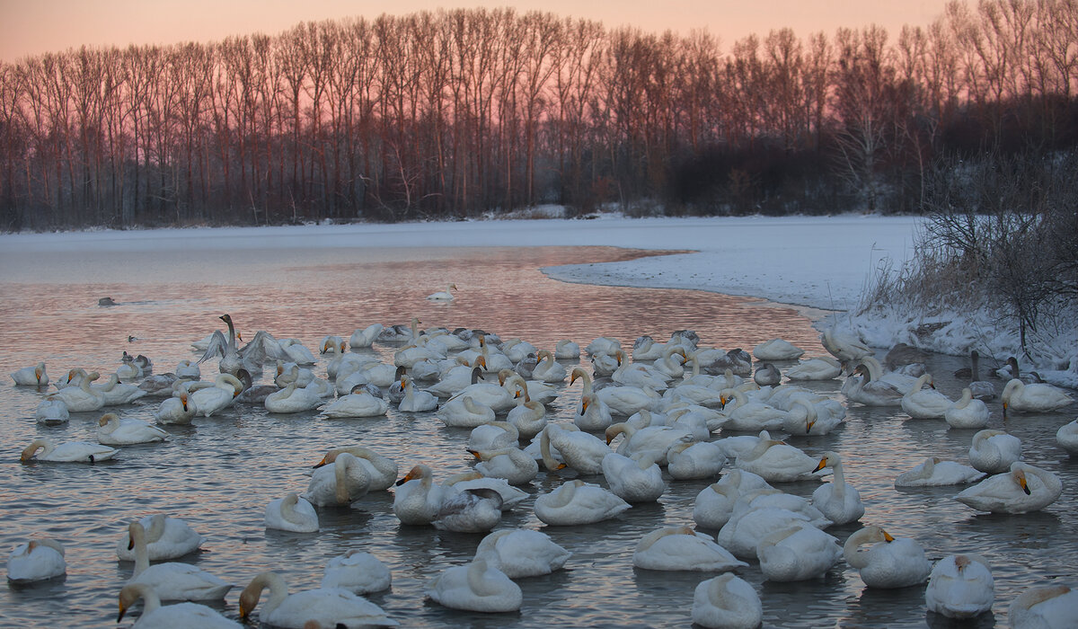 В толпе каждый занят сугубо своими мыслями...