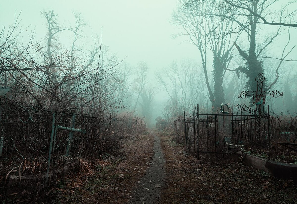 Яндекс.Картинки