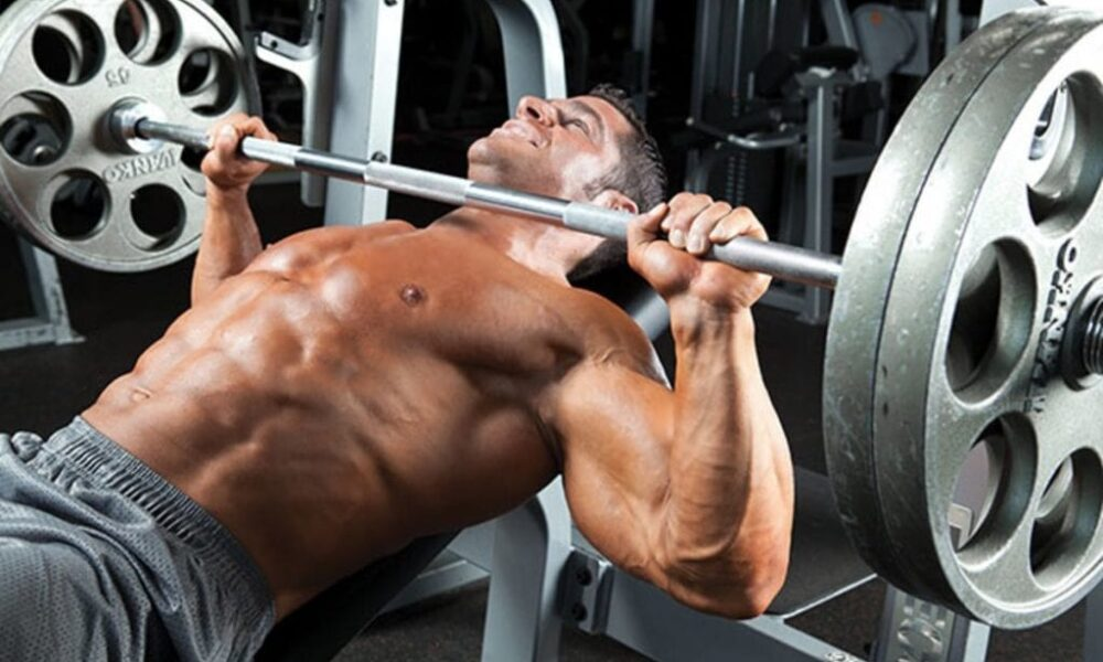 Тренировка больших мышц. Жим штанги лежа. 2. Жим штанги лежа. Flat Barbell Bench Press. Штанга лежа.