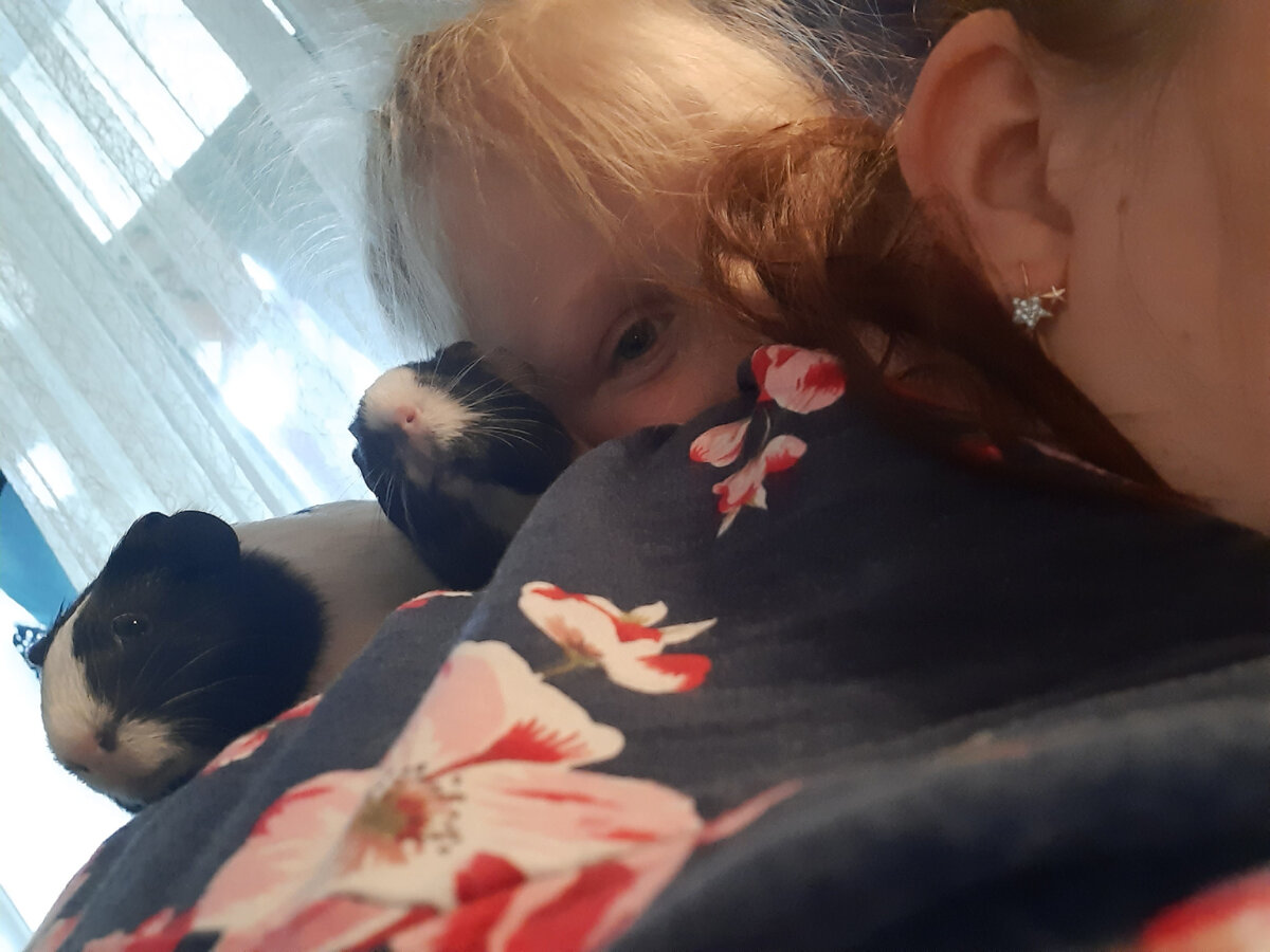 На  мне сидят сразу три хрюшенции=)