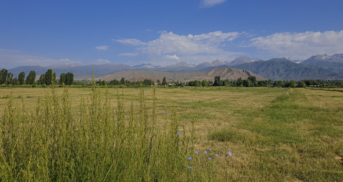 Бостери. В стороне от дороги. Вид на горы. Тянь-Шань. 
