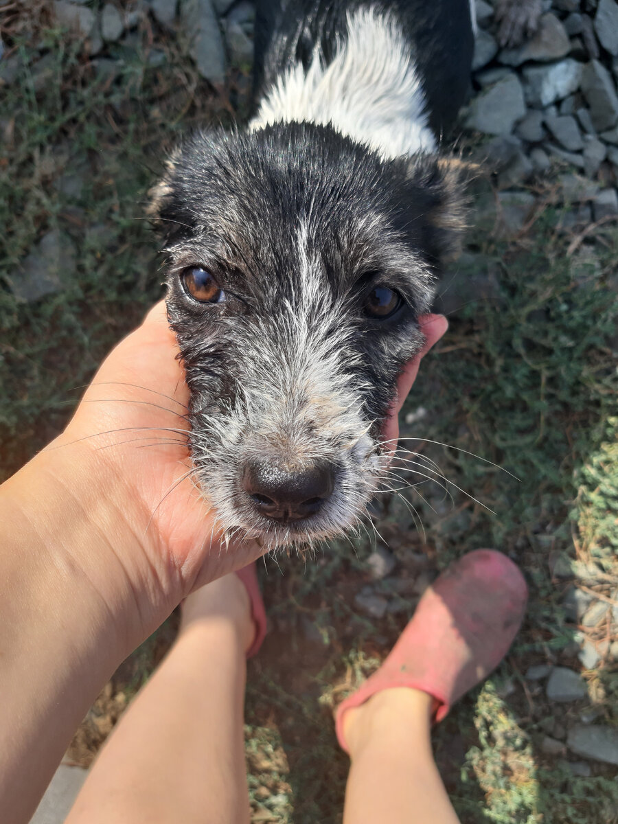 Вот такая милашка