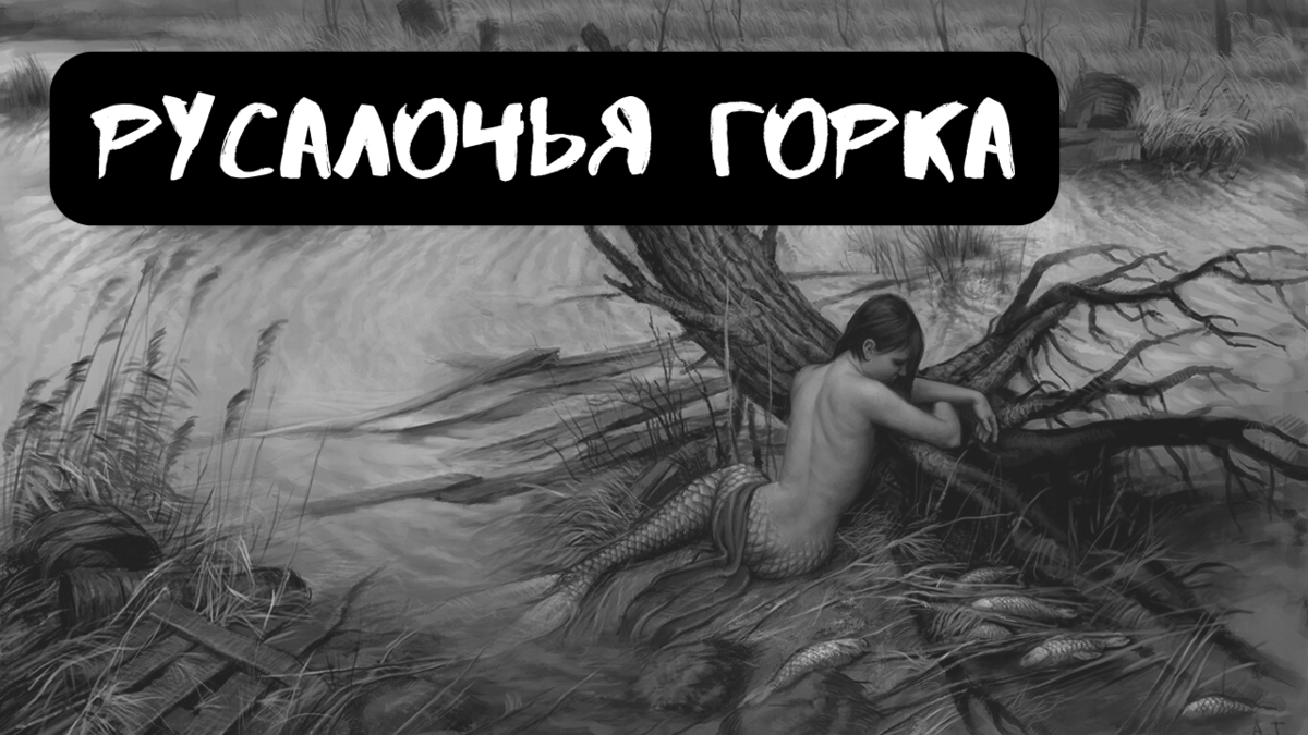 Не забудь подписаться, поставить лайк и написать в комментариях все, что думаешь об истории