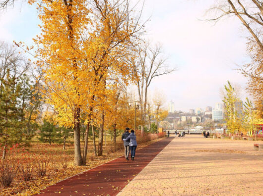    Парк Левобережный // фото: rostov-gorod.ru