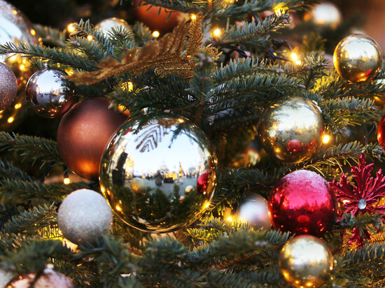     фото: Геннадий Черкасов