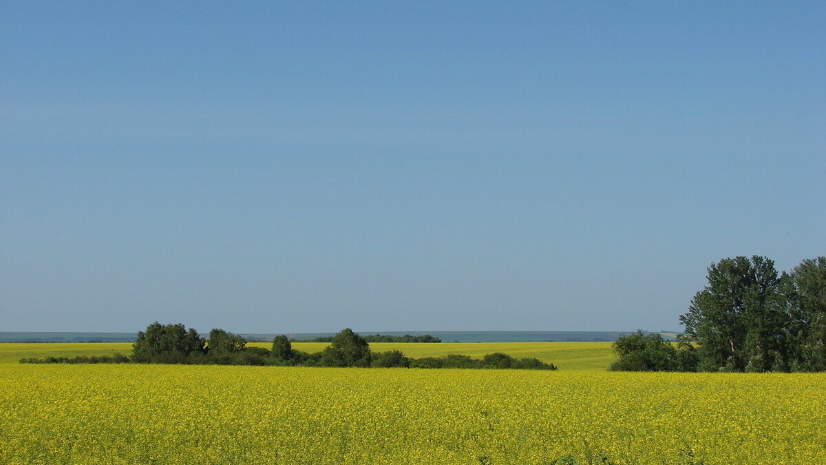    Алтай© Управление алтайского края по печати и информации