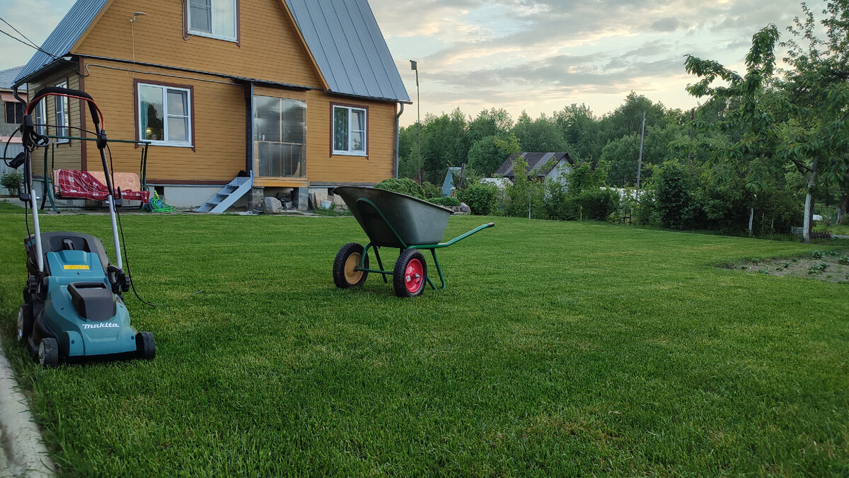 Еще один сосед справа. Рабица.