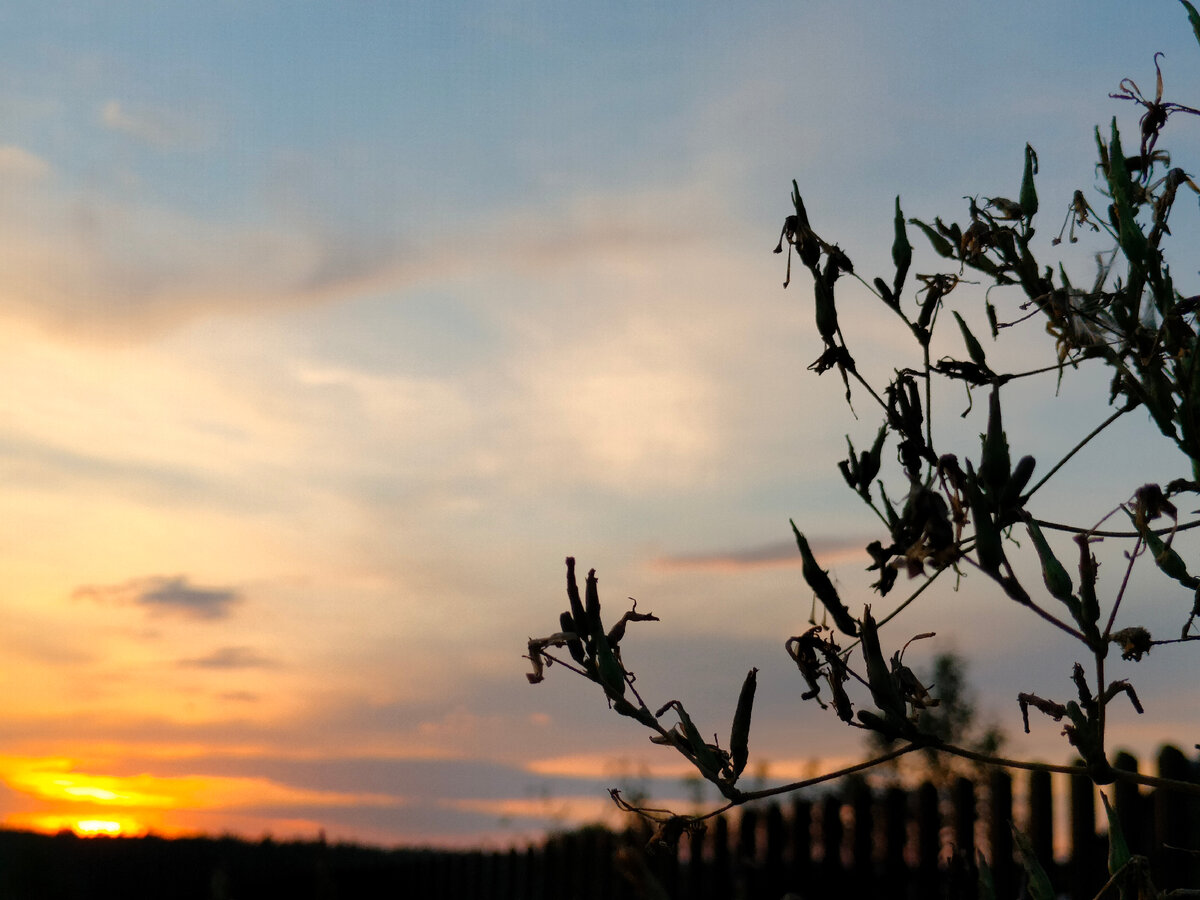 Просто фото для красоты