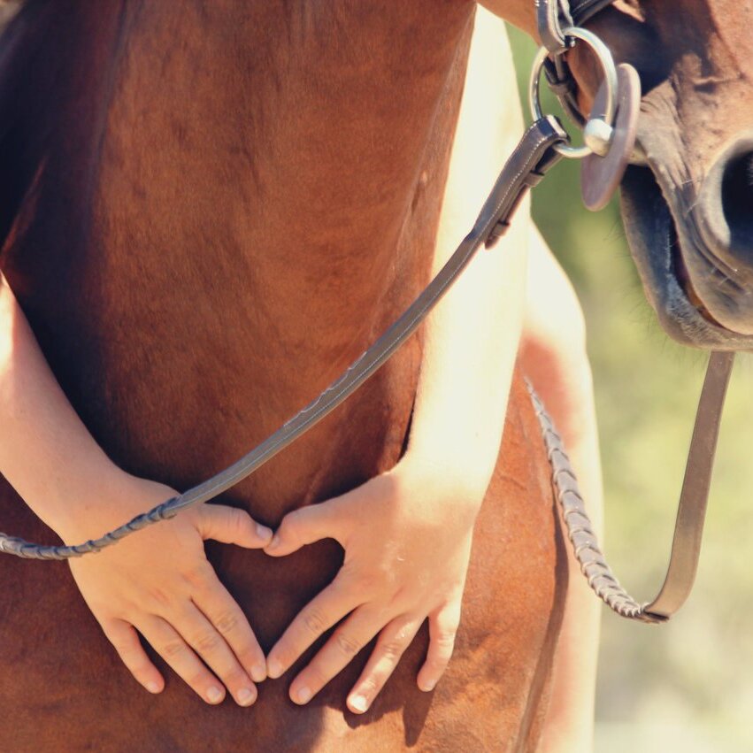 Фото из открытых источников.