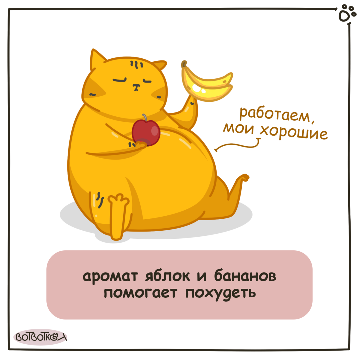 факт от вотвоткот