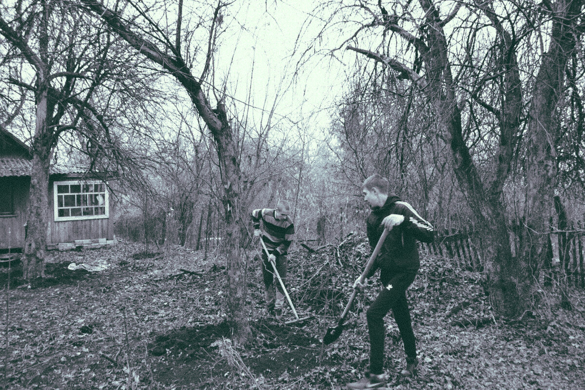 Дачный участок, фото сделаны осенью 2015 года. 