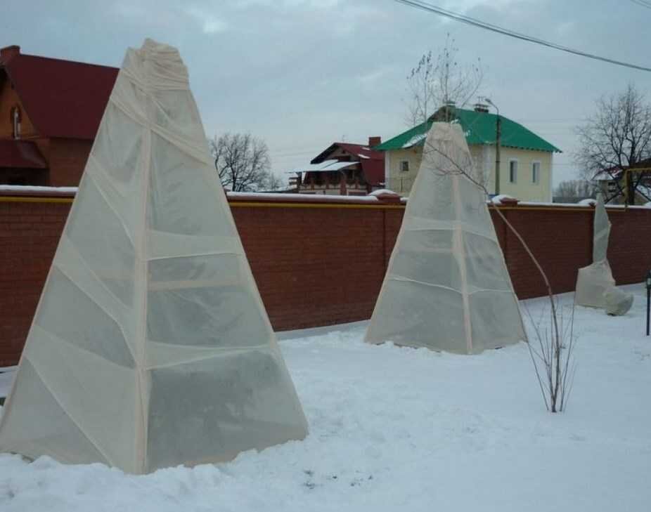 фото взято из интернет. Для голубики верх конструкции остаётся открытым от ткани.