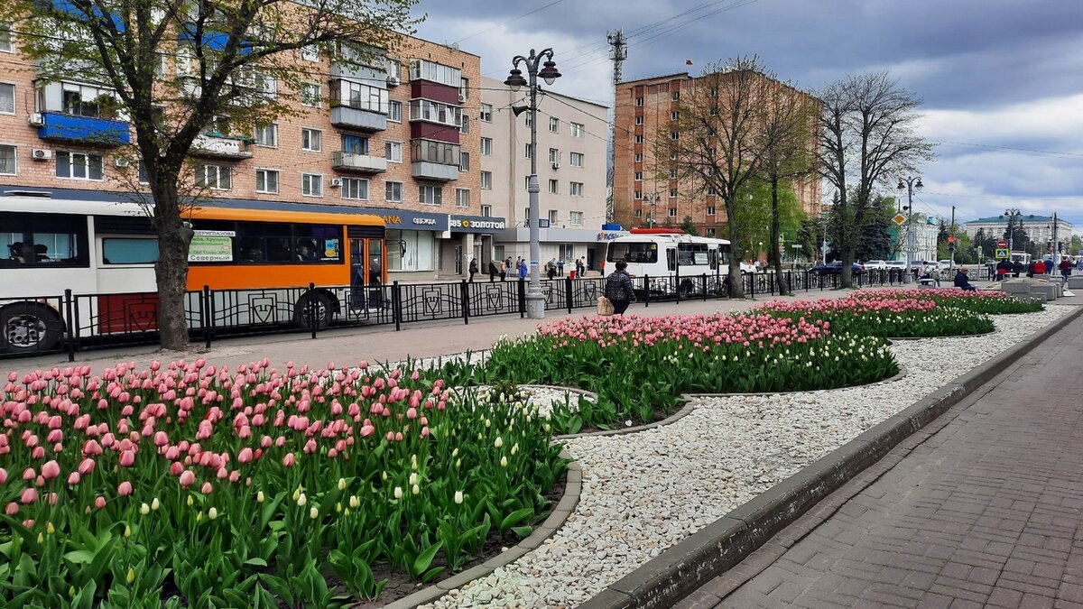    В Курской области прогнозируют дожди и грозы