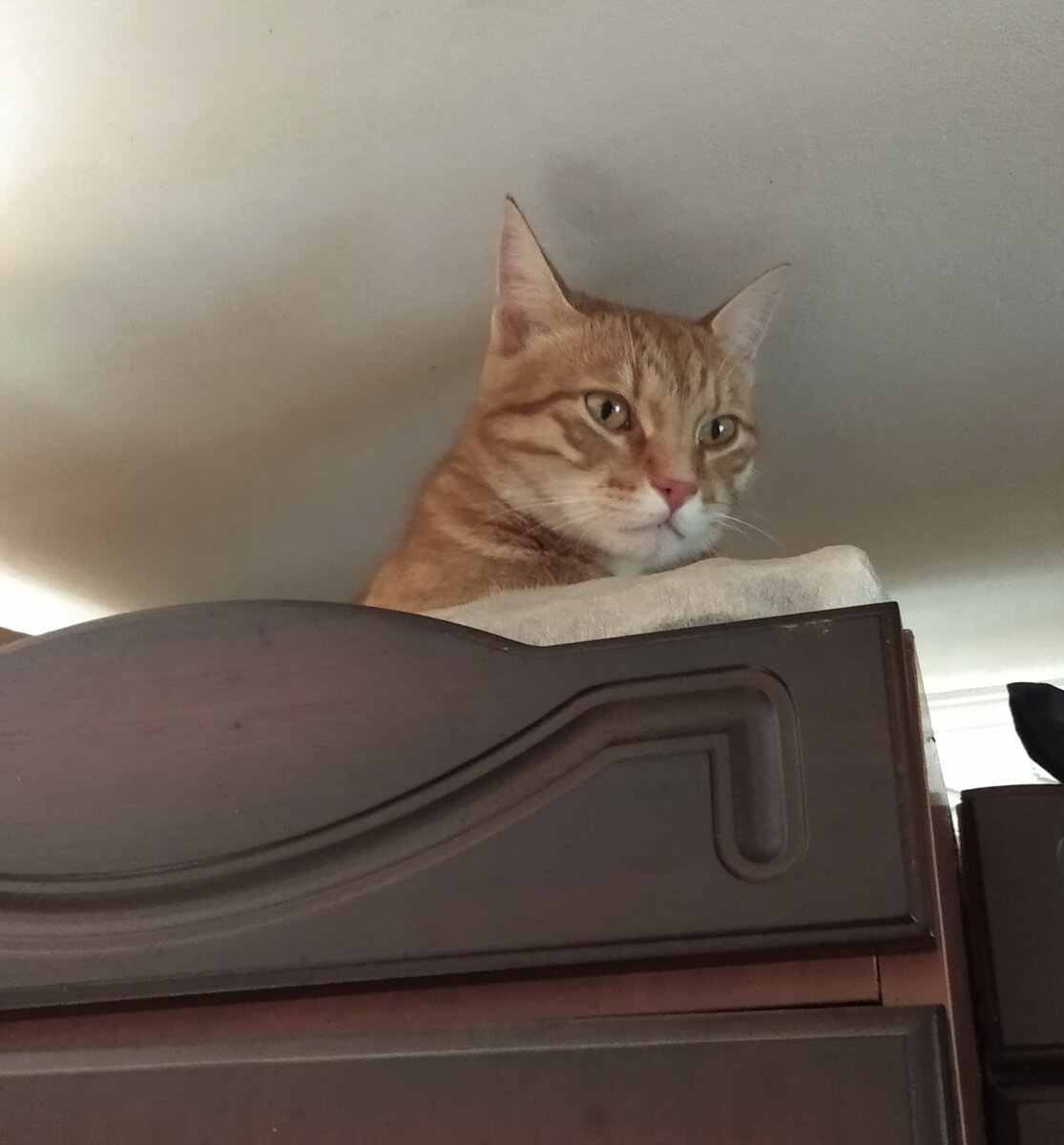 Личное  фото.