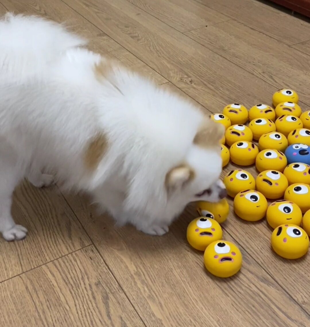 Мои любимые мячи