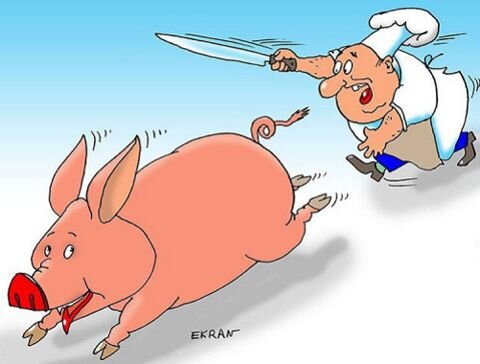 Фото из открытых источников.