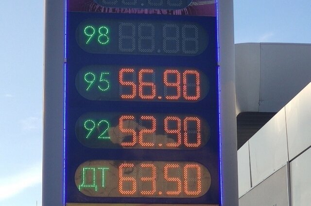    Фото:  АиФ/ Сирень Бабаева