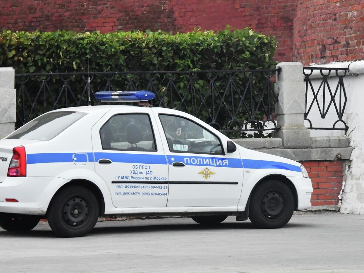    Автомобиль полиции на дороге Москвы© РИА Новости / Наталья Селиверстова