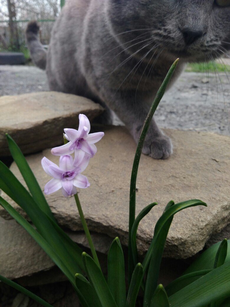Милота зашкаливает)