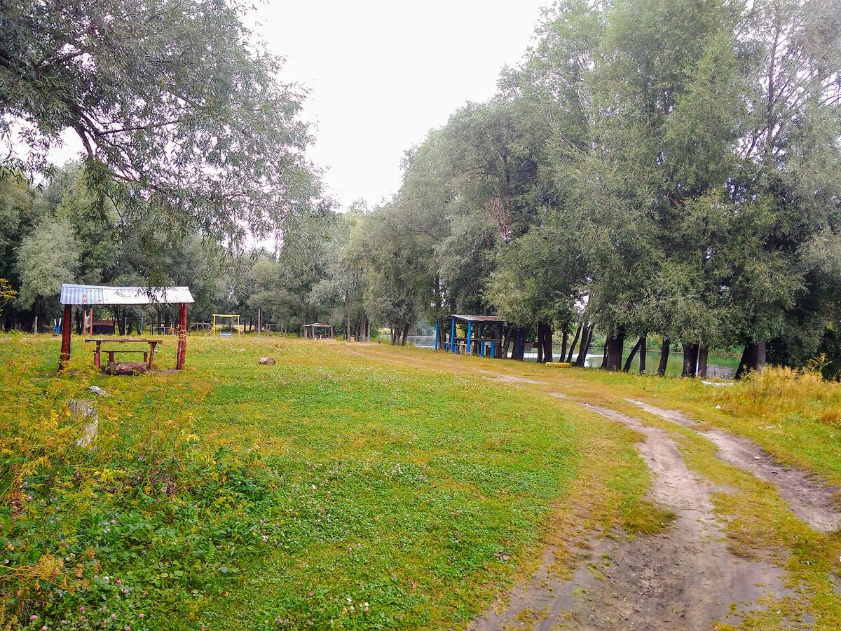 Новая Майна посёлок городского типа в Ульяновской области. Фотографии  красивых мест. | Заметки на полях | Дзен