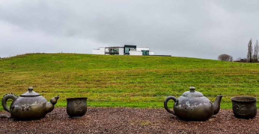 Чайная плантация на островах Новой Зеландии