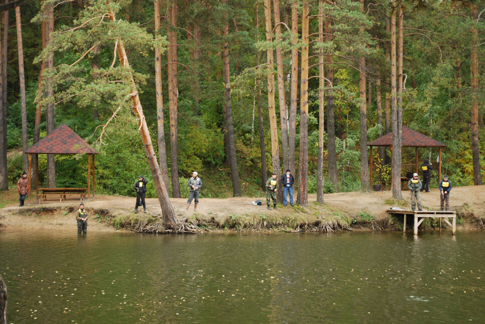 Рыбалка лесопарк