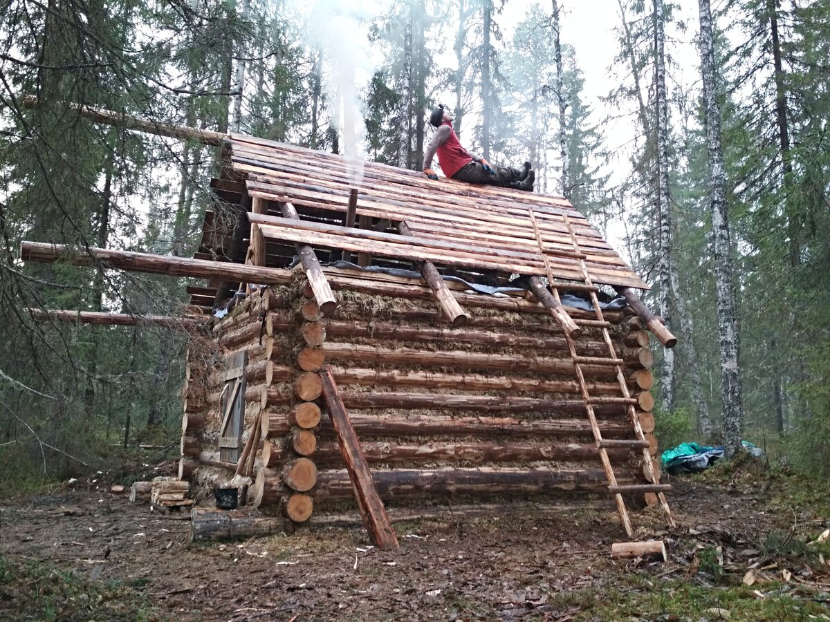 Стройка избы в тайге